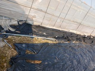 자기왕사랑해님의 자유주제 · 자유게시판 작성글 사진