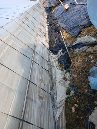 자기왕사랑해님의 자유주제 · 자유게시판 작성글 사진