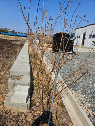 임병국(남리ㅡ림)님의 자유주제 · 자유게시판 작성글 사진