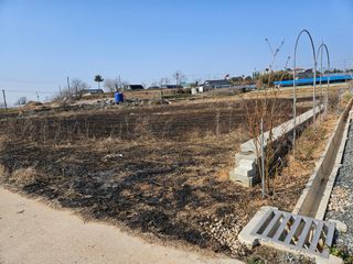 임병국(남리ㅡ림)님의 자유주제 · 자유게시판 작성글 사진