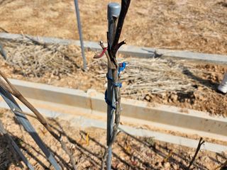 임병국(남리ㅡ림)님의 자유주제 · 자유게시판 작성글 사진