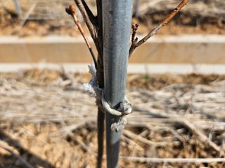 임병국(남리ㅡ림)님의 자유주제 · 자유게시판 작성글 사진