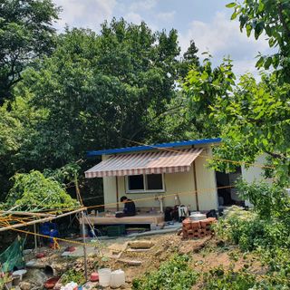 한방에아들님의 팜모닝 · 출석 작성글 사진