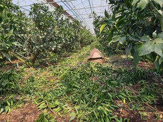 희야 네 레디향님의 자유주제 · 자유게시판 작성글 사진