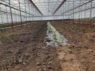 희야 네 레디향님의 자유주제 · 자유게시판 작성글 사진