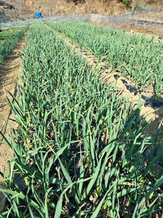 윤형곤님의 자유주제 · 자유게시판 작성글 사진