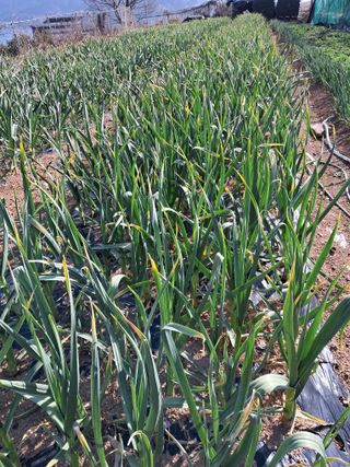 윤형곤님의 자유주제 · 자유게시판 작성글 사진