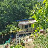 팜모닝 옥수수·자유게시판 게시글 이미지