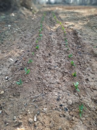 곽해영님의 자유주제 · 자유게시판 작성글 사진