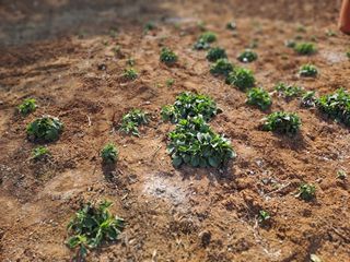 곽해영님의 자유주제 · 자유게시판 작성글 사진