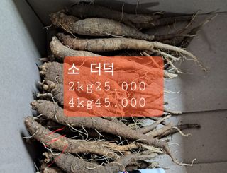 김종덕님의 작성글 사진