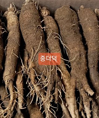 김종덕님의 작성글 사진