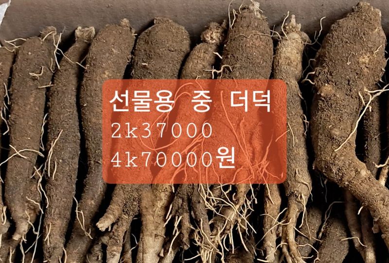 김종덕님의 장터 판매 상품 [1.종근용(모종). 2.소 더덕(무침),3.중(구이.무침)] 첨부 사진