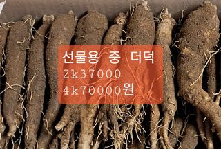 김종덕님의 작성글 사진