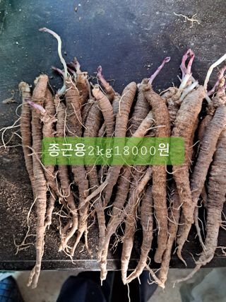 김종덕님의 작성글 사진