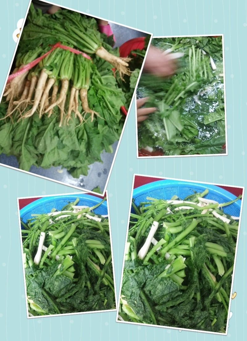 장터 상품 [열무 자박이 김치] 썸네일