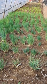 팜모닝 3월 내 작물 자랑하기·참여글 게시글 이미지