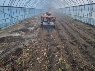 박덕환님의 고추 · 영농일지 작성글 사진