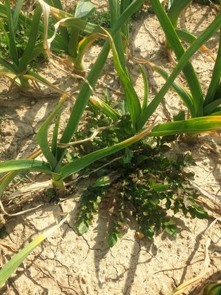 인도공주님의 자유주제 · 자유게시판 작성글 사진