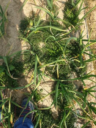 인도공주님의 자유주제 · 자유게시판 작성글 사진