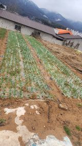 팜모닝 자유주제·사진전 게시글 이미지