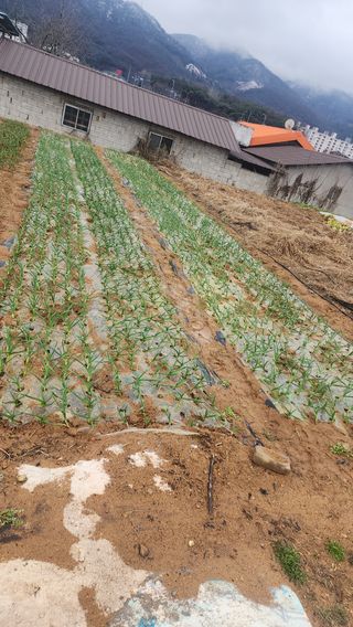 박재성님의 자유주제 · 사진전 작성글 사진