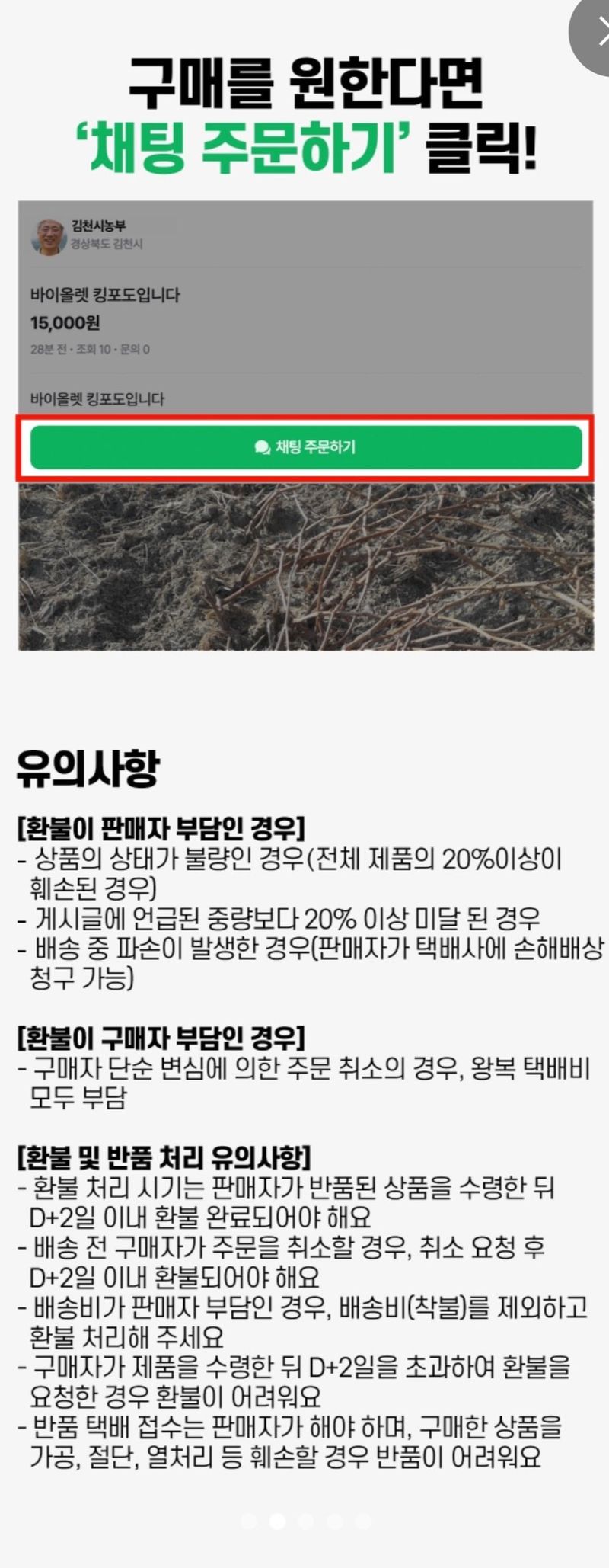 정길영님의 장터 판매 상품 [부산 강서구 대저 짭짤이 토마토 2.5kg 사이즈s-ss-m] 첨부 사진