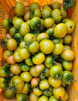 정길영님의 작성글 사진