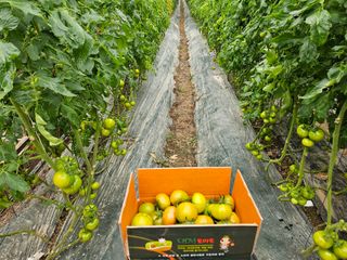 정길영님의 작성글 사진