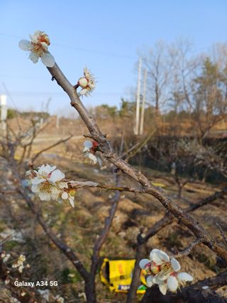 박진문님의 자유주제 · 자유게시판 작성글 사진
