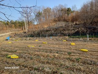 박진문님의 자유주제 · 자유게시판 작성글 사진