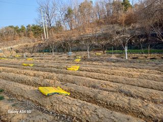 박진문님의 자유주제 · 자유게시판 작성글 사진