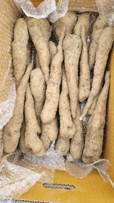 팜모닝 자유주제·사진전 게시글 이미지