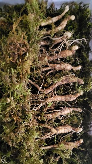 이동운(화)님의 자유주제 · 사진전 작성글 사진