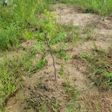 팜모닝 팜모닝·출석 게시글 이미지