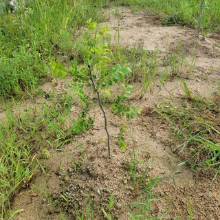 김용훈님의 팜모닝 · 출석 작성글 사진