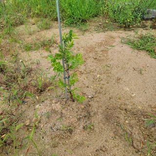 김용훈님의 팜모닝 · 출석 작성글 사진