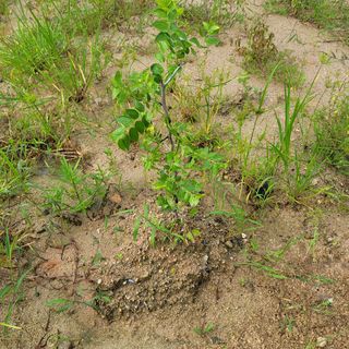 김용훈님의 팜모닝 · 출석 작성글 사진