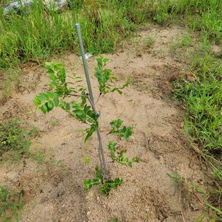 김용훈님의 팜모닝 · 출석 작성글 사진