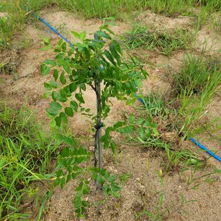 김용훈님의 팜모닝 · 출석 작성글 사진