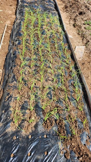 히말라야산동네님의 자유주제 · 자유게시판 작성글 사진