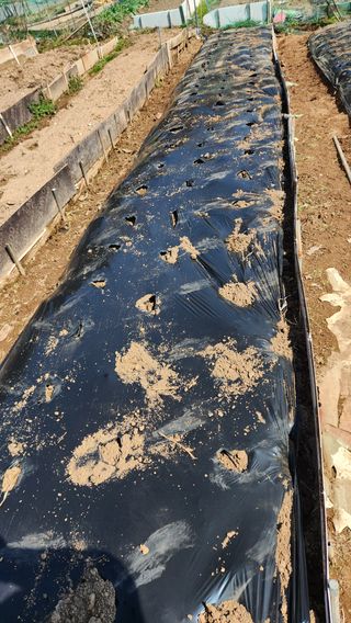 히말라야산동네님의 자유주제 · 자유게시판 작성글 사진