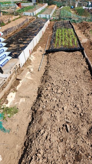 히말라야산동네님의 자유주제 · 자유게시판 작성글 사진