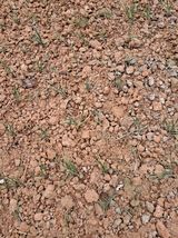 팜모닝 기타작물·영농일지 게시글 이미지