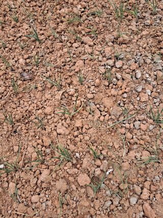 이영난님의 기타작물 · 영농일지 작성글 사진