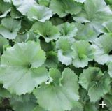 팜모닝 자유주제·자유게시판 게시글 이미지