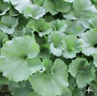 박철규 님의 자유주제 · 자유게시판 작성글 사진