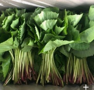 박철규 님의 자유주제 · 자유게시판 작성글 사진