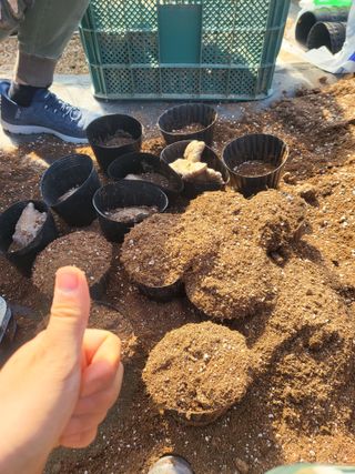 김영진(전남영광)님의 기타작물 · 자유게시판 작성글 사진