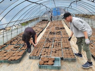 김영진(전남영광)님의 기타작물 · 자유게시판 작성글 사진